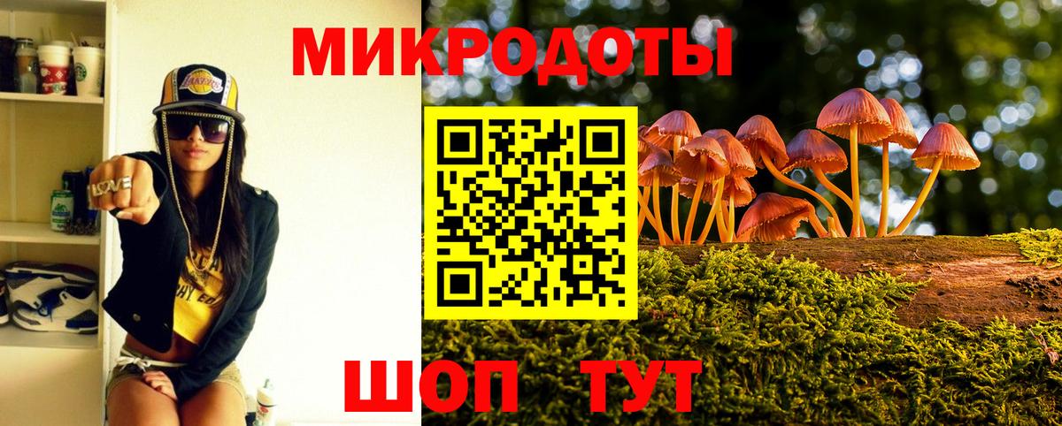 Галлюциногенные грибы Psilocybine cubensis Татарск