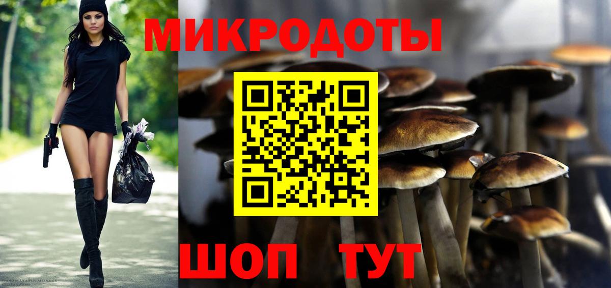 Галлюциногенные грибы Psilocybe  Вход с VPN  Псилоцибиновые грибы ЛСД  Татарск 